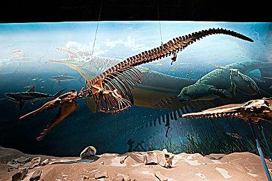 沙雕造船游戏《沉浮》彩蛋频出？ 建造鬼才直呼内行